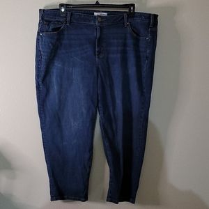 Lane Bryant plus size jeans